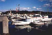 im Hafen