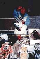 Was fuer ein schoner Fischkopf :-)