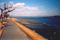 Meer