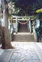 Die Insel Takeshima