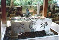 Die Insel Takeshima
