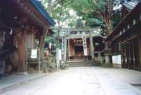Die Insel Takeshima
