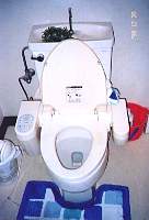 Die Toilette zu Hause